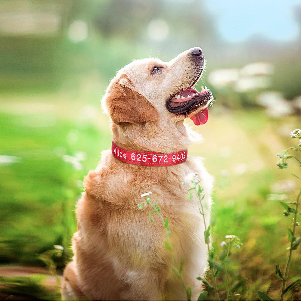 NameWear™ Collar – Custom Engraved PU Leather Dog Collar | Soft, Wide & Durable for All Breeds