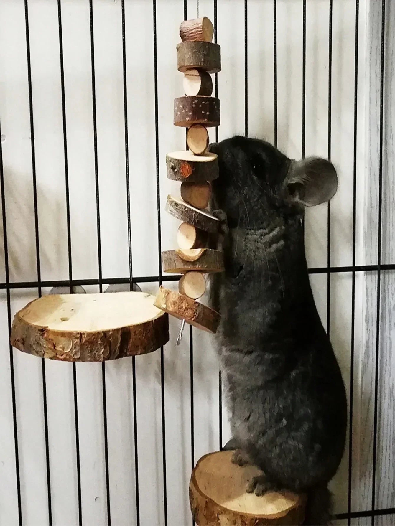 TinyTeeth™ Natural Wood Chew Sticks for small pets, featuring a safe and durable design for dental care.