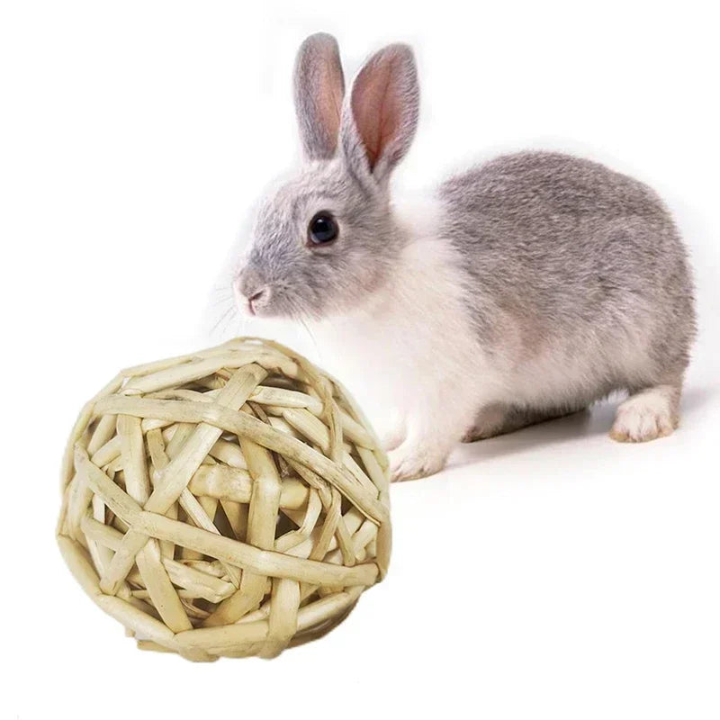 Interactive chew balls in various styles for guinea pigs, rabbits, and hamsters by Petivo, ideal for small animal play.
