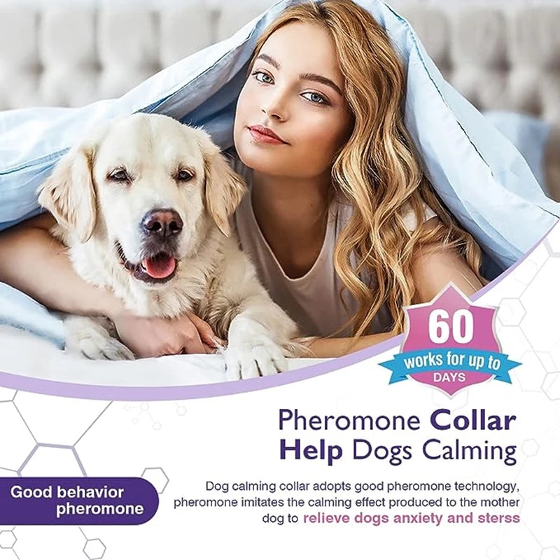 TickShield™ flea and tick collar for dogs and cats, showing collar design and packaging for 8-month protection.