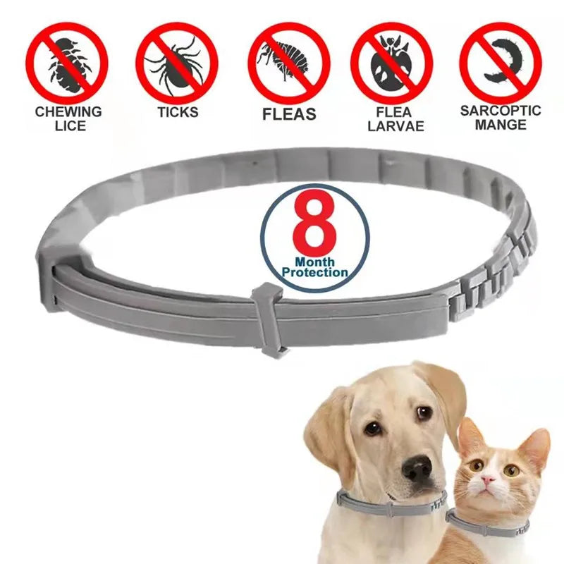 Adjustable Petivo FleaGuard™ collar for 8-month protection against fleas and ticks on a dog.