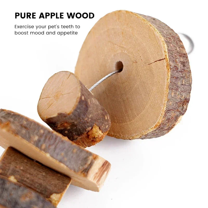 Natural wood chew sticks for small pets by TinyTeeth, showcasing their safe, chewable texture and vibrant colors.