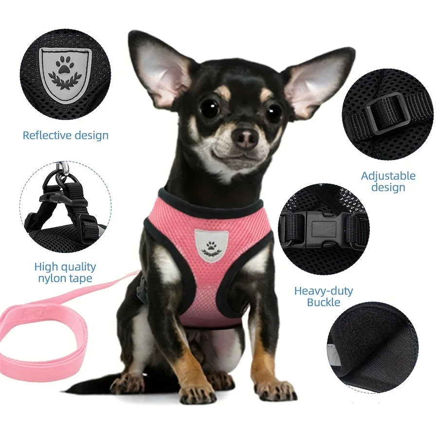 CharmPaws™ Kitten Collar – Cute Cat Necklace with Removable Name Pendant | Stylish Pet Accessory
