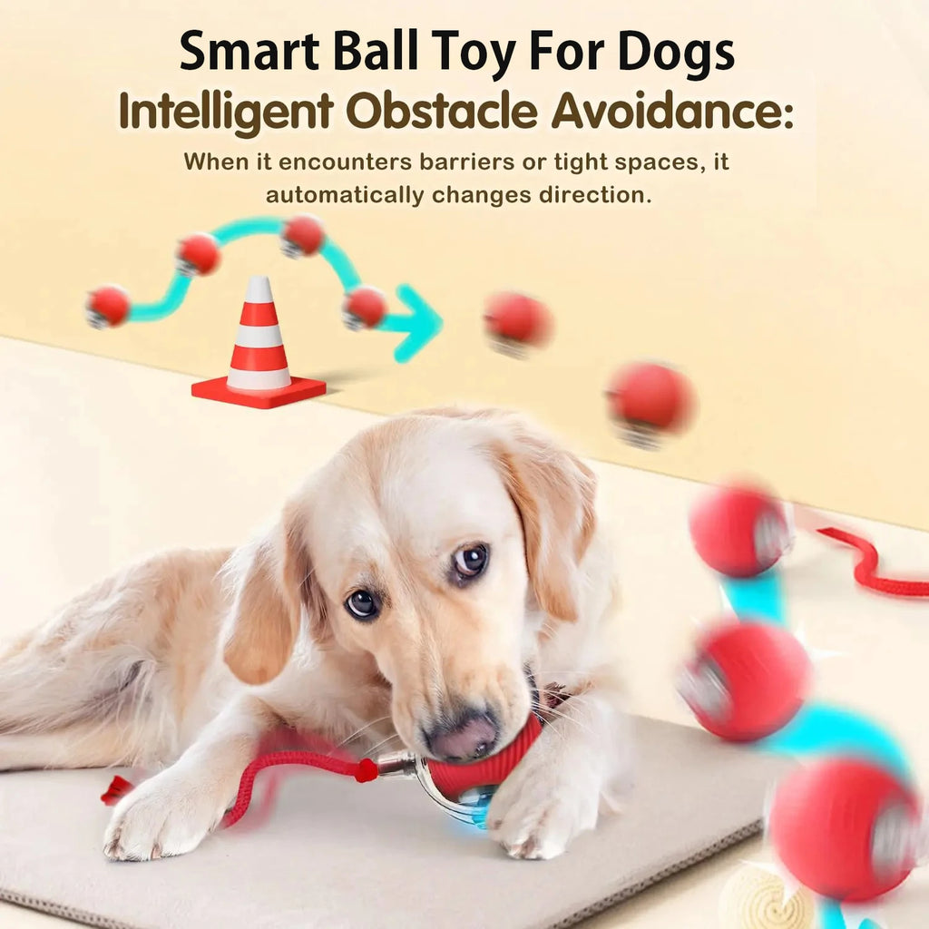 Interactive SmartRoll™ dog ball from Petivo, designed for automatic rolling and engaging playtime for pets.