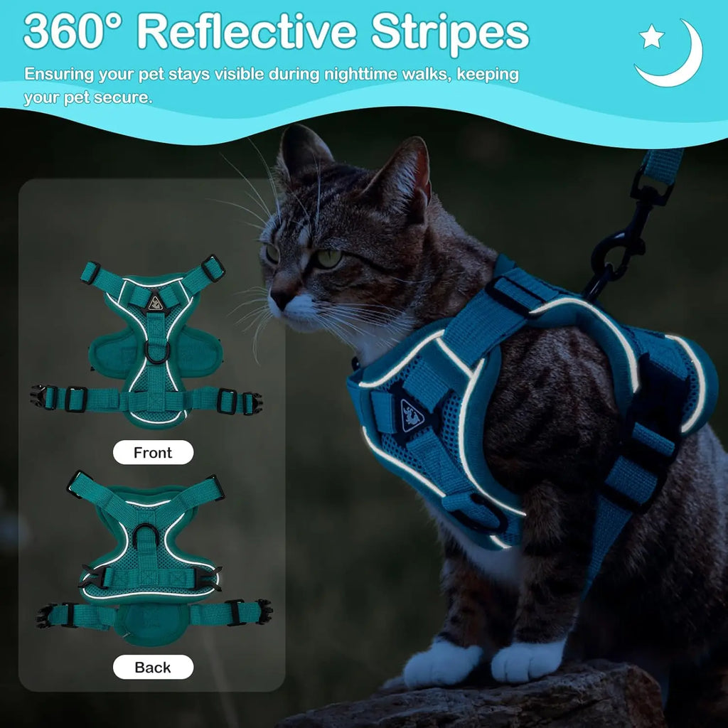 TinyPaws™ Collar – Cute Kitten Necklace with Removable Name Charm | Fashion Cat Accessory