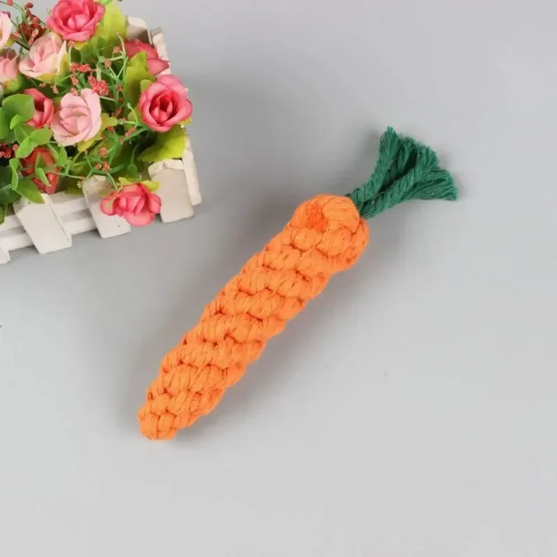 Braided cotton rope dog toy by Petivo, designed for puppies, showcasing durability and bite-resistance with vibrant colors.
