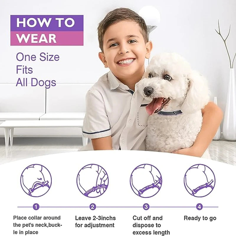 TickShield™ flea and tick collar for dogs and cats, showcasing the adjustable collar design and packaging details.