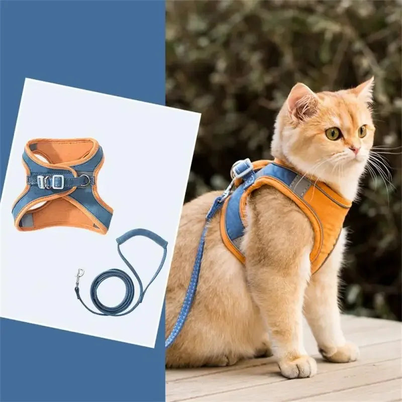 PurrStyle™ Cat Collar – Fashion Kitten Necklace with Removable Name Tag | Cute Animal Series