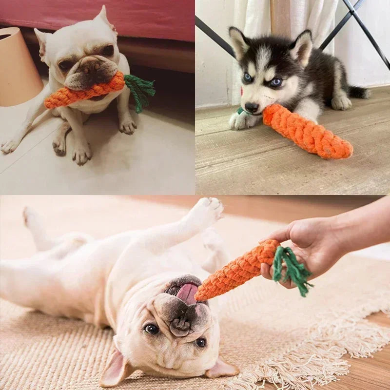 Braided cotton rope dog toy in orange and green, designed for durable, bite-resistant chewing for puppies.