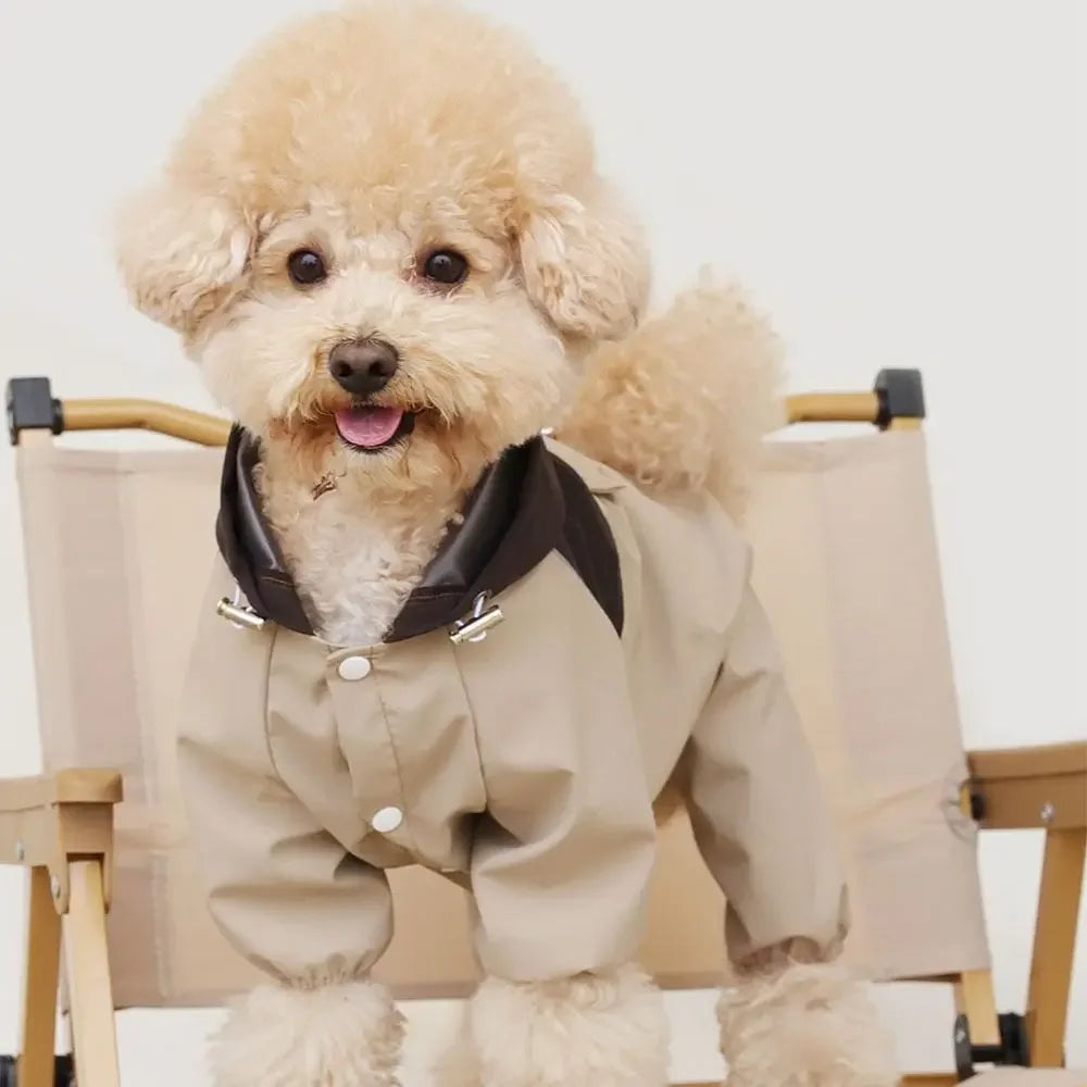 Small fluffy dog in beige raincoat sitting on a canvas pet chair, pet clothing
