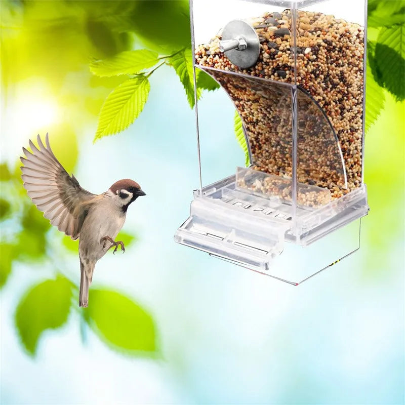 Automatic no-mess feeder for parakeets and budgies from Petivo, designed for zero-waste bird feeding.