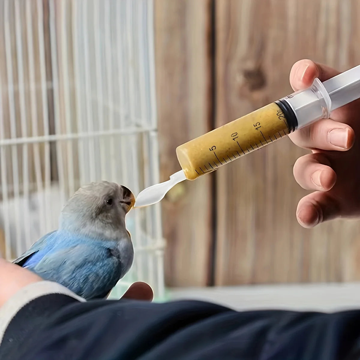 4-piece precision syringe set for hand-rearing baby birds by Petivo, featuring various syringe sizes and attachments.