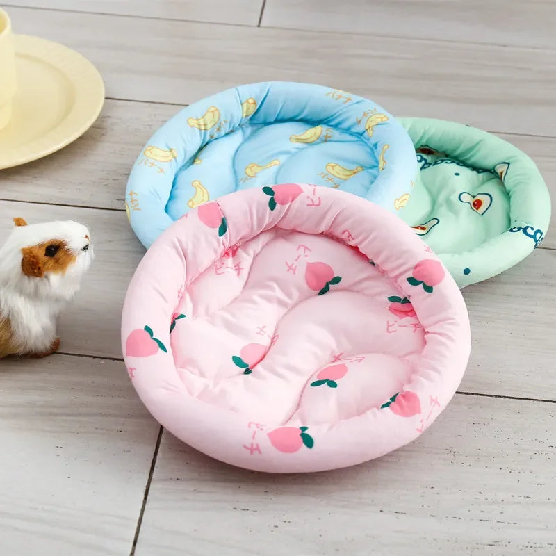 CloudSnug™ small pet haven with plush cushion, ideal thermal hideaway for guinea pigs, chinchillas, and bunnies.