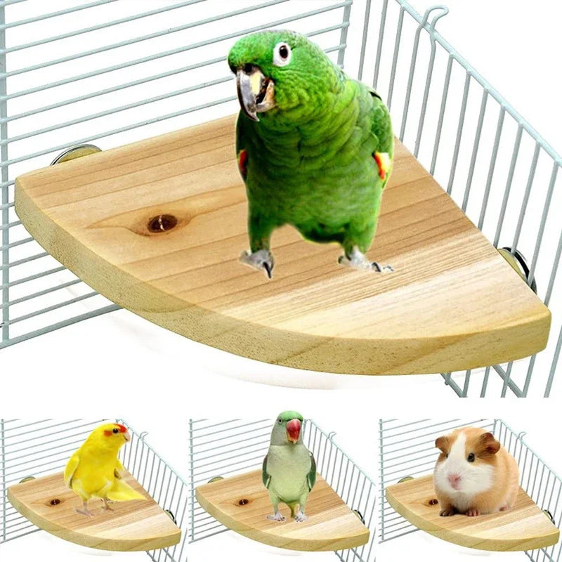 ForestPerch™ natural wood corner terrace for birds, chinchillas, and hamsters, showcasing eco-friendly fan-shaped design.