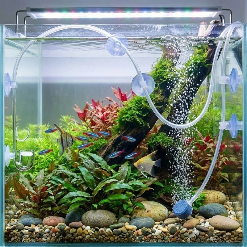 AquaGrip™ clear aquarium suction cup clips for air line tube holders, arranged in a pack of 30-50 pieces.