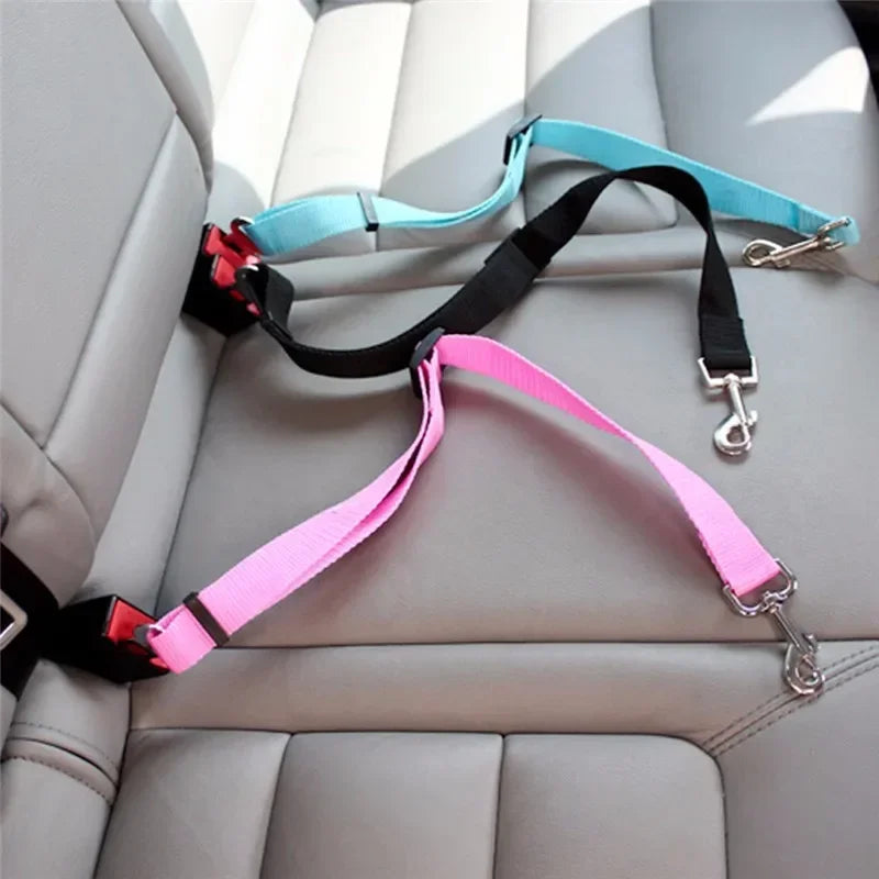 Adjustable pet seat belt leashes in pink and blue attached to car back seat for dog safety