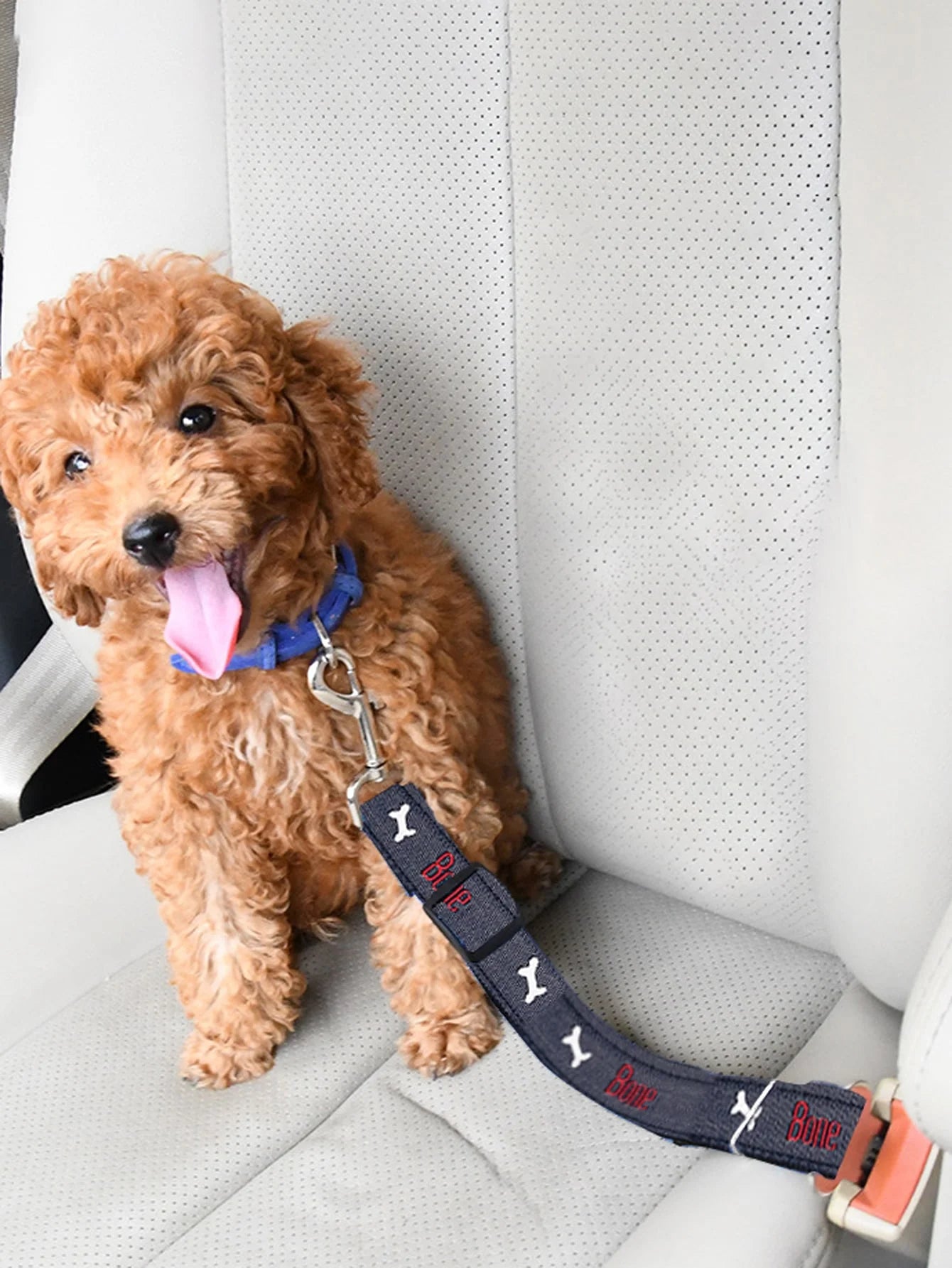 Adjustable denim dog car seat belt with metal buckle, designed for all sizes of retractable pet safety harnesses.
